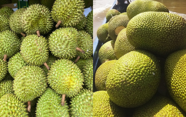 Thực phẩm & Đồ uống