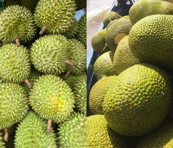 Thực phẩm & Đồ uống